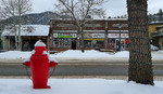 photo thumbnail #9