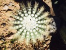 photo thumbnail #12