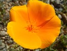 photo thumbnail #14