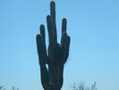 photo thumbnail #15