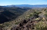 photo thumbnail #1