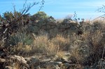 photo thumbnail #11