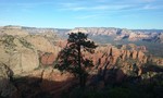 photo thumbnail #4