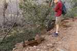 photo thumbnail #3