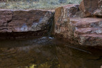 photo thumbnail #12