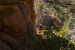 photo thumbnail #15