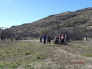 photo thumbnail #3