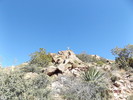 photo thumbnail #11