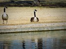 photo thumbnail #14