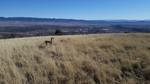 photo thumbnail #10