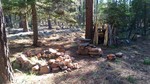 photo thumbnail #9