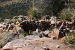 photo thumbnail #11