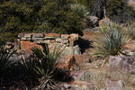 photo thumbnail #14