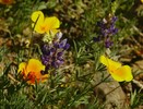 photo thumbnail #10
