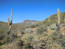 photo thumbnail #11