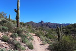 photo thumbnail #3