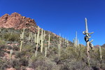 photo thumbnail #4