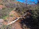 photo thumbnail #2