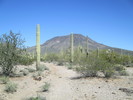 photo thumbnail #1