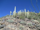 photo thumbnail #2