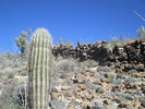 photo thumbnail #3