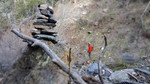photo thumbnail #15