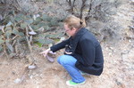 photo thumbnail #3