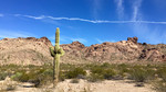 photo thumbnail #2