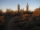 photo thumbnail #1
