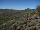 photo thumbnail #5