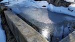 photo thumbnail #14
