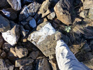 photo thumbnail #7