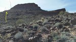 photo thumbnail #6
