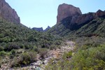 photo thumbnail #2