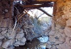 photo thumbnail #12