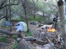 photo thumbnail #2