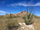photo thumbnail #2