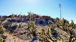 photo thumbnail #4