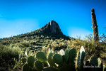 photo thumbnail #2