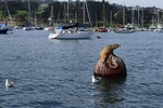 photo thumbnail #6
