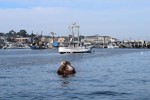 photo thumbnail #8