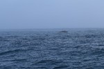 photo thumbnail #15