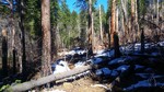 photo thumbnail #1