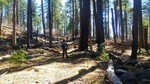 photo thumbnail #5