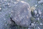photo thumbnail #4