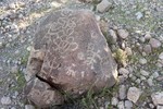 photo thumbnail #7