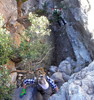 photo thumbnail #15