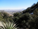photo thumbnail #3