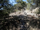 photo thumbnail #10