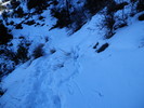 photo thumbnail #12
